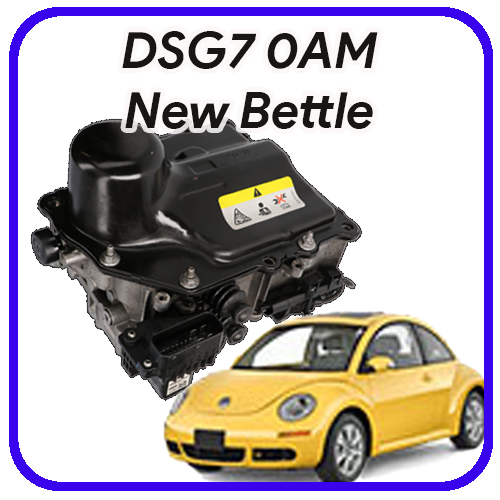 Meccatronica DSG 7 marce 0AM New Bettle Revisione e servizi